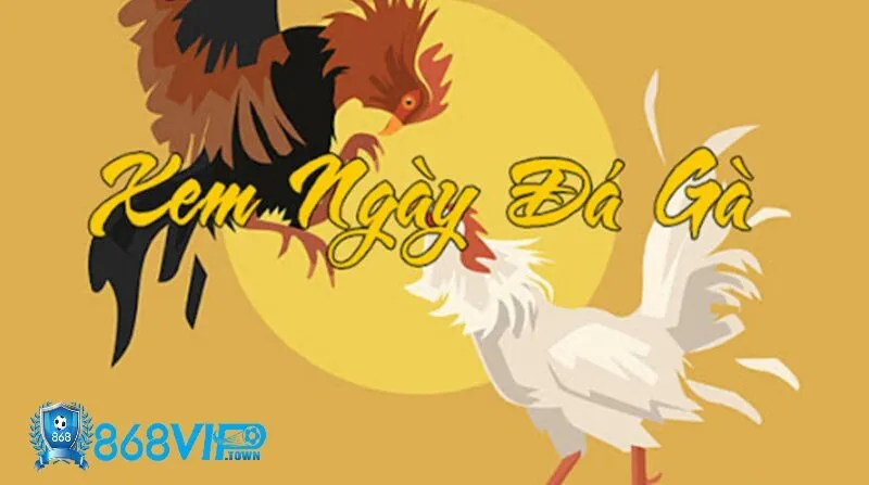 Hướng dẫn chi tiết cách xem ngày đá gà tại 868vip